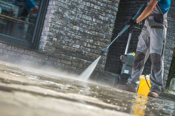 Best Solar Panel Cleaning  in Breese, IL